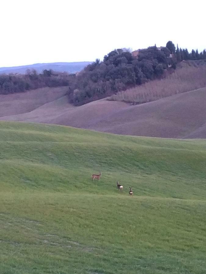 Appartamento Crete Senesi Castelnuovo Berardenga Exterior foto